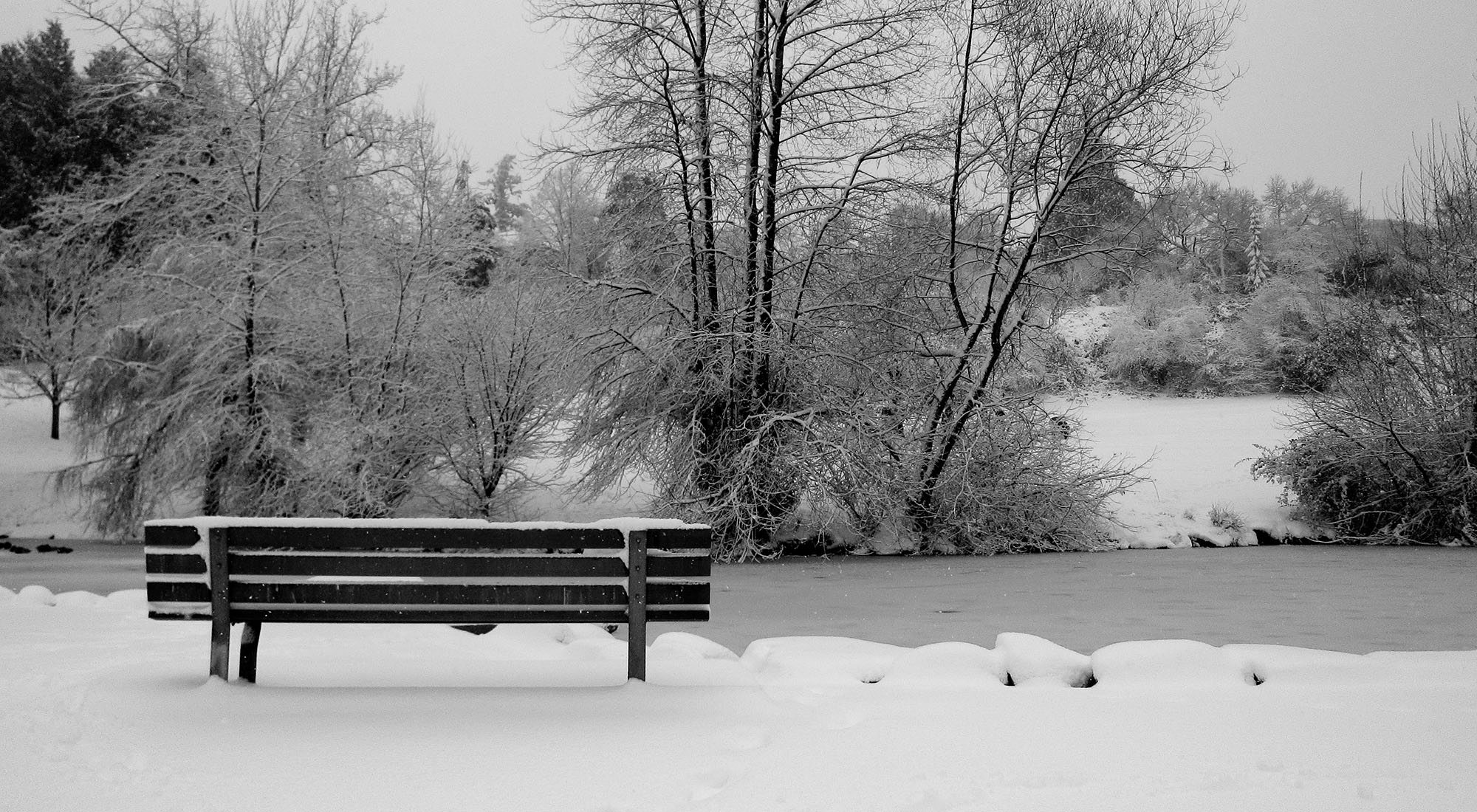 Snow in Queen Elizabeth Park (Olga Zamudio/Flickr)