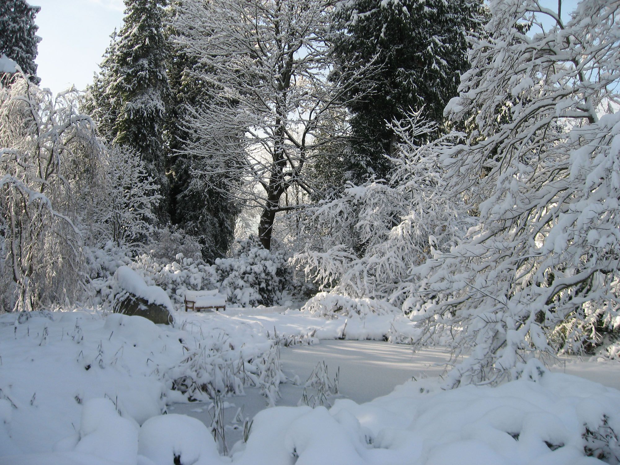 Snow in the UBC Botanical Garden (Wendy Cutler/Flickr)