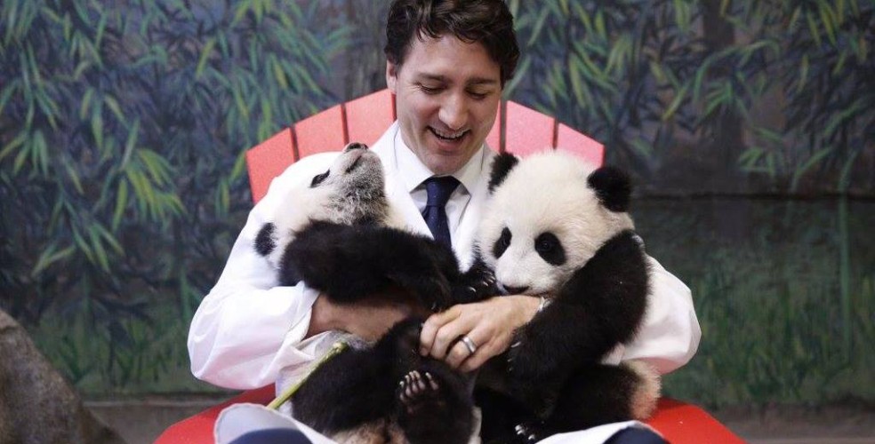 Justin Trudeau gets playtime with Toronto Zoo's panda cubs (PHOTOS)
