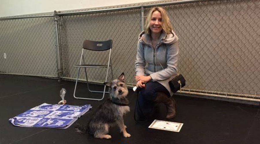 Seymour graduating Life Skills class at Dizine Canine. 