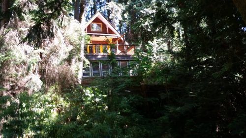 Image: Tree House Cottage