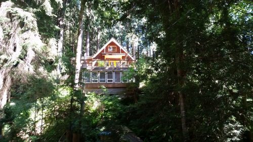 Image: Tree House Cottage