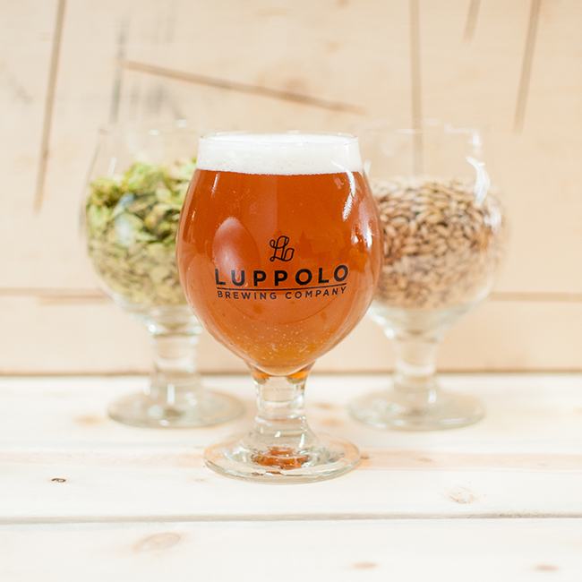 Photo courtesy Luppolo Brewing Co.