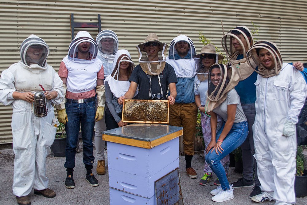 The Routific team beekeeping with Hives For Humanity (Routific)