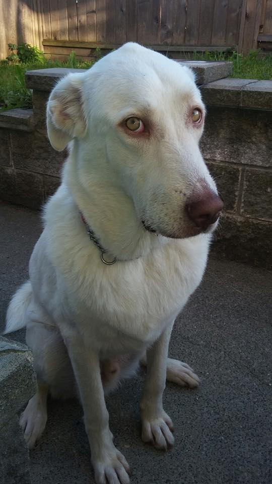 Murphy the great.