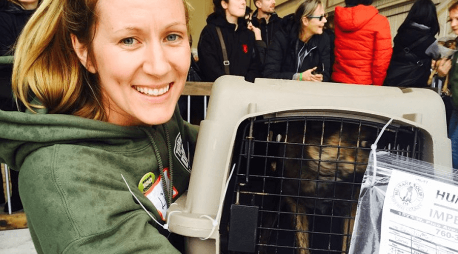 60 rescue dogs getting flight path to Vancouver