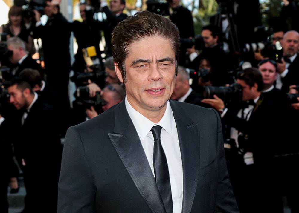 Benicio del Toro (magicinfoto/Shutterstock)