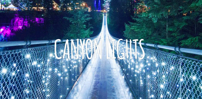 canyon lights