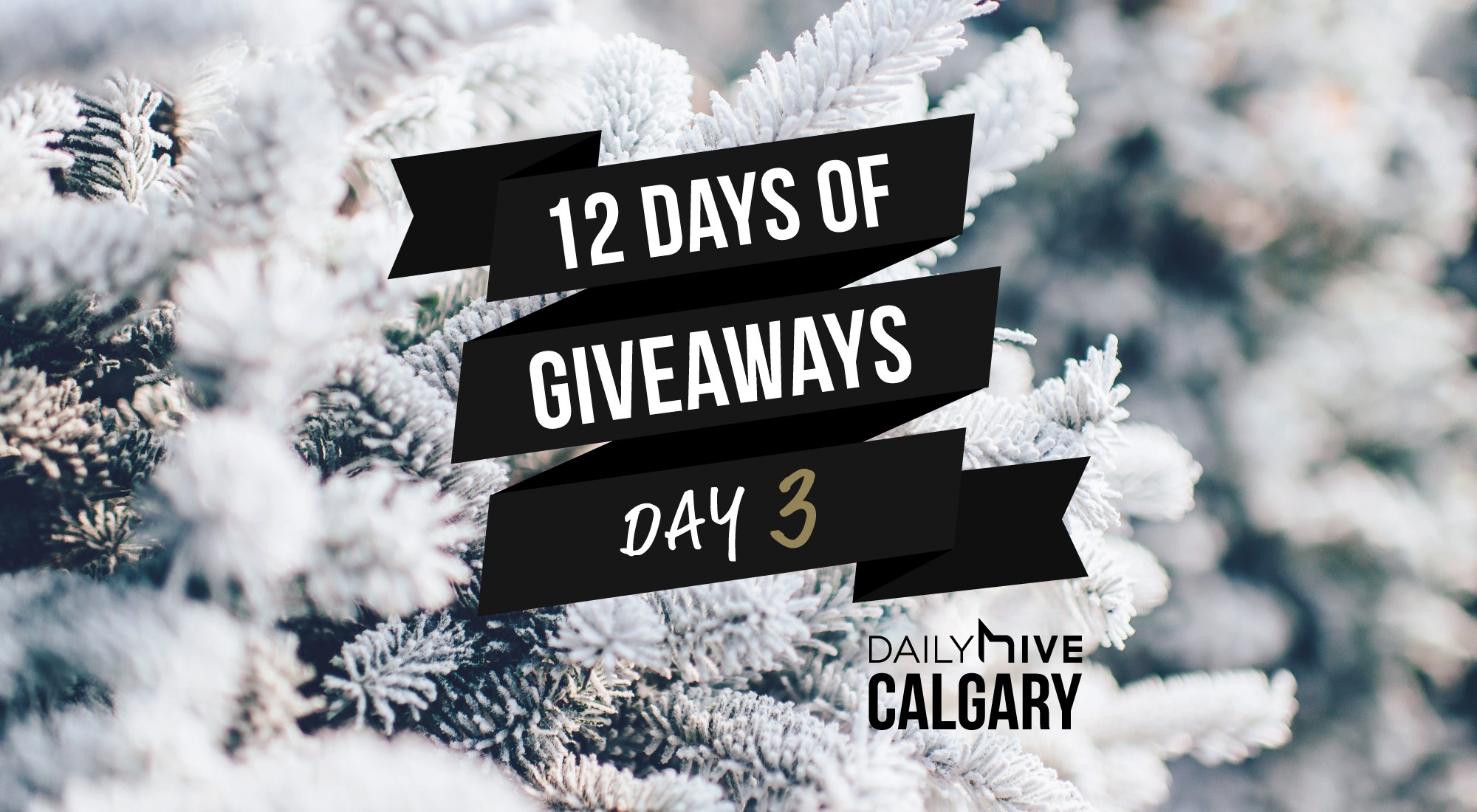 12 Days of Giveaways: Win a $500 seasonal JOEY Restaurants gift basket