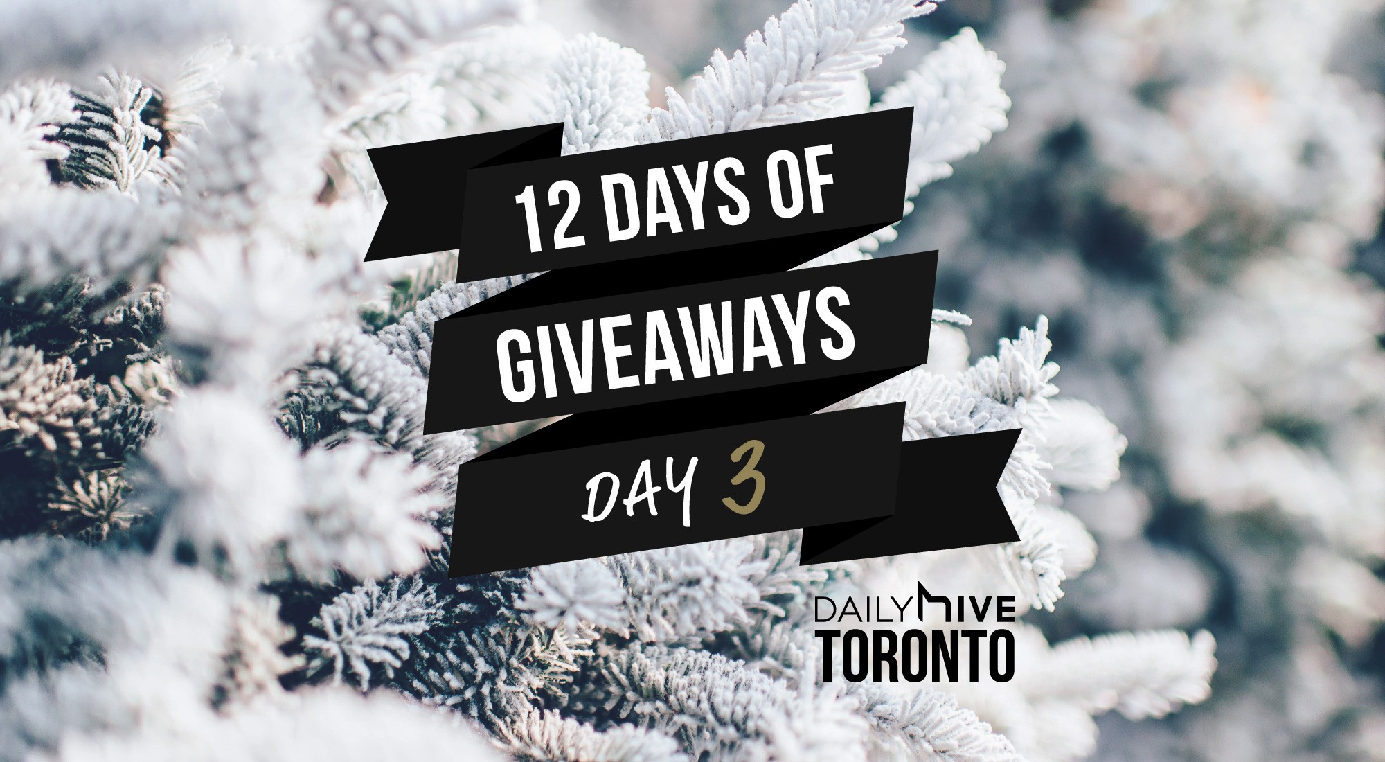 12 Days of Giveaways: Win a $500 seasonal JOEY Restaurants gift basket