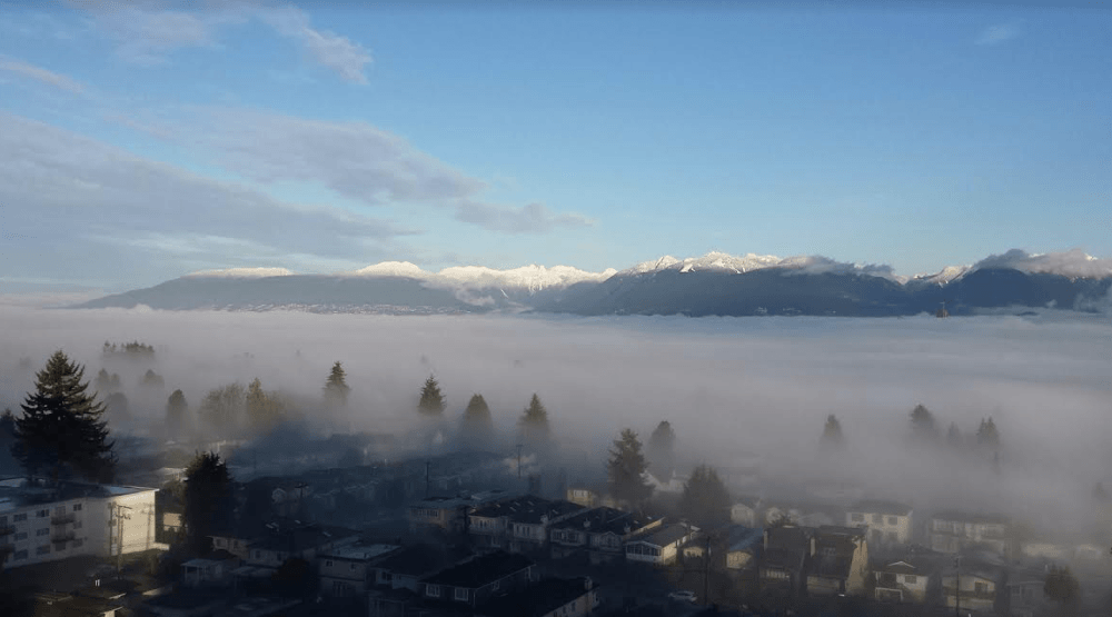 15 photos of Fogcouver taking over the city this morning