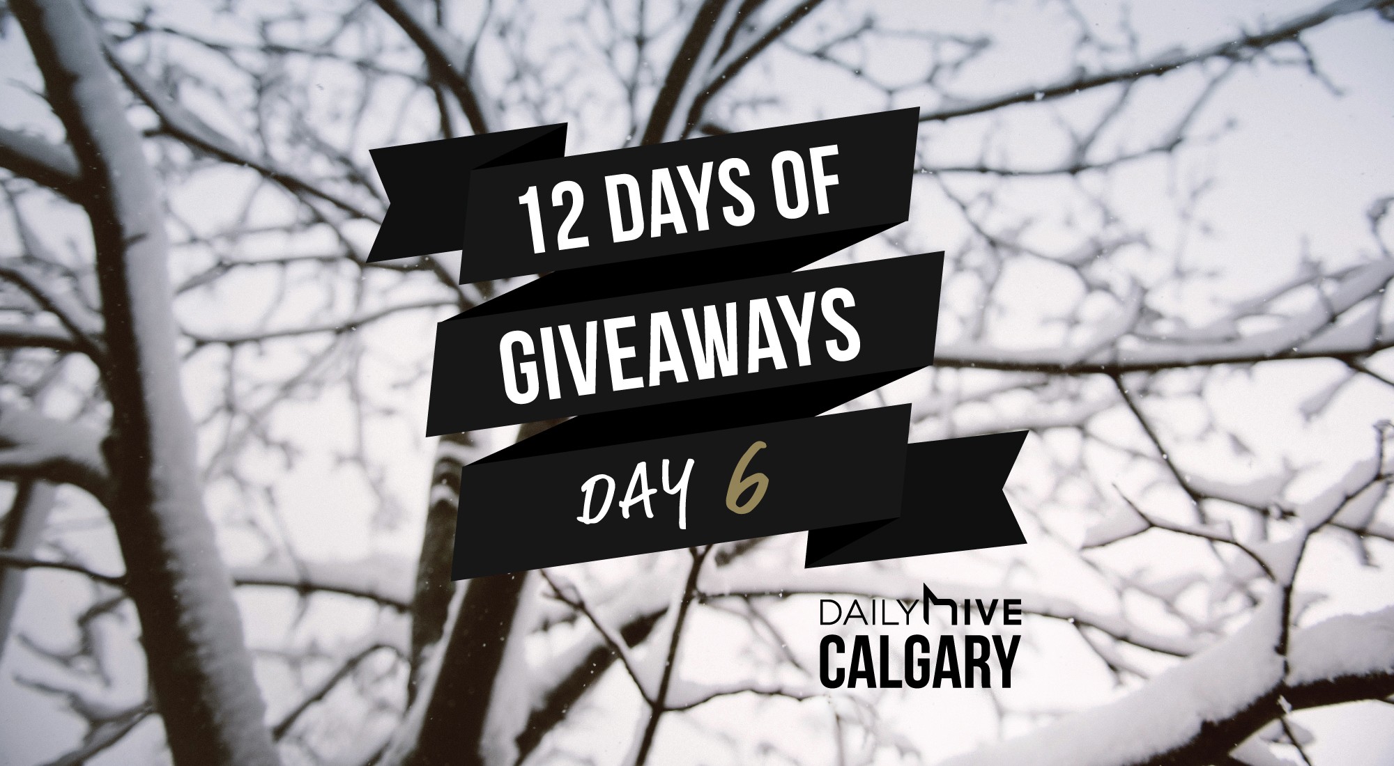 12 Days of Giveaways: Have a picture perfect holiday season with a new DSLR