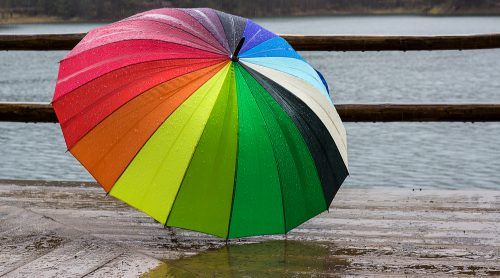 Umbrella / Shutterstock 