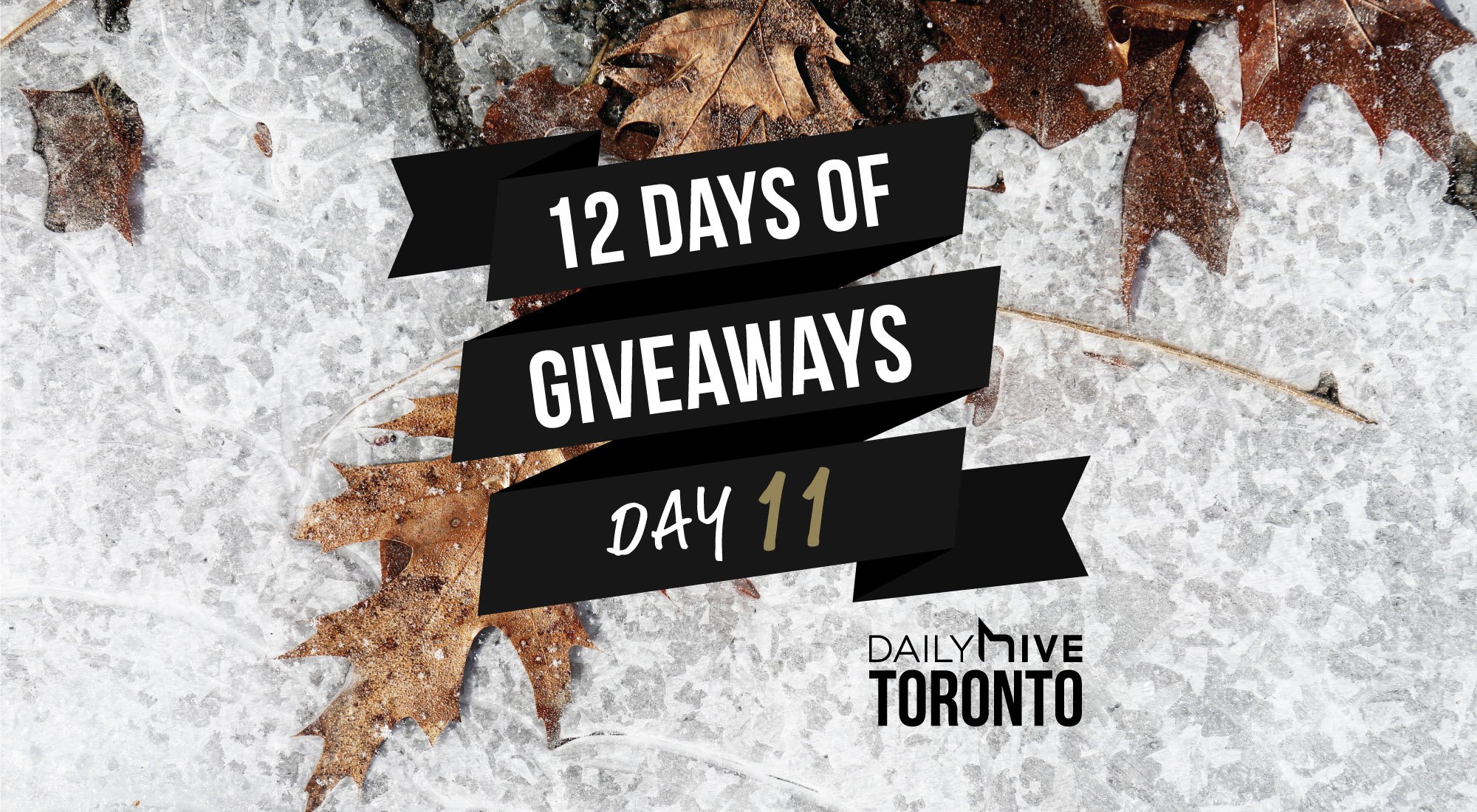 12 Days of Giveaways: Get a new phone that takes crystal clear photos