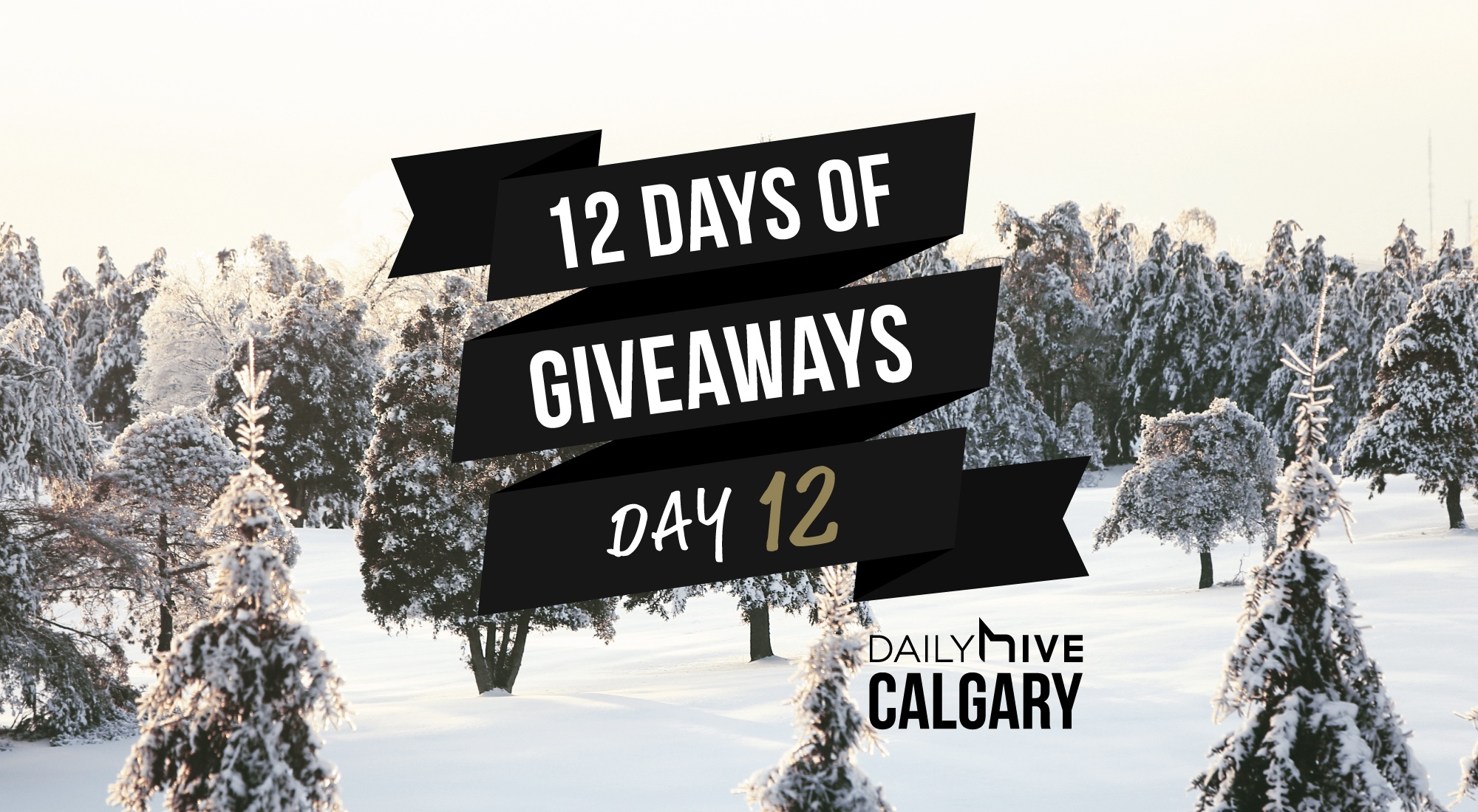 12 Days of Giveaways: Get in the golfing spirit this season