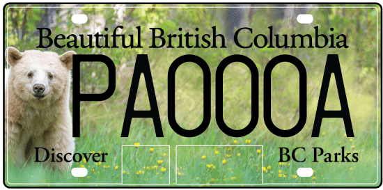 The new BC Parks licence plate featuring a Kermode bear (ICBC)