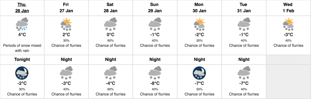 food forecast toronto