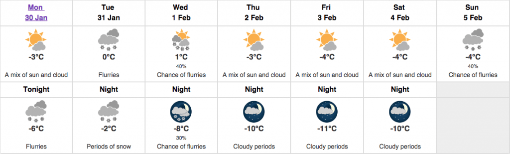 food forecast