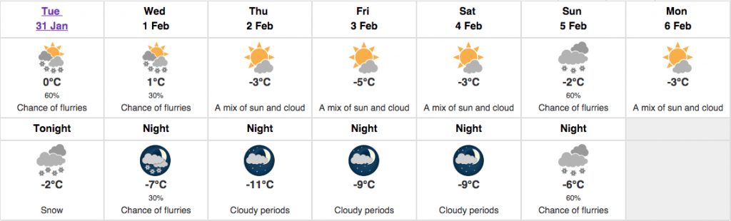 food forecast