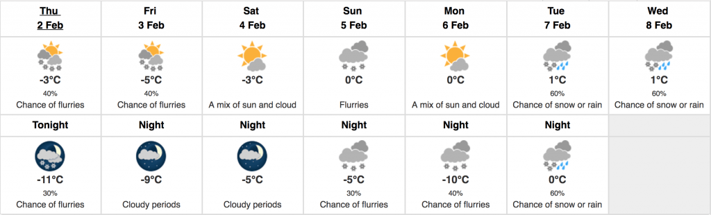 forecast