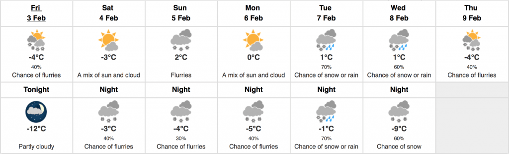 forecast