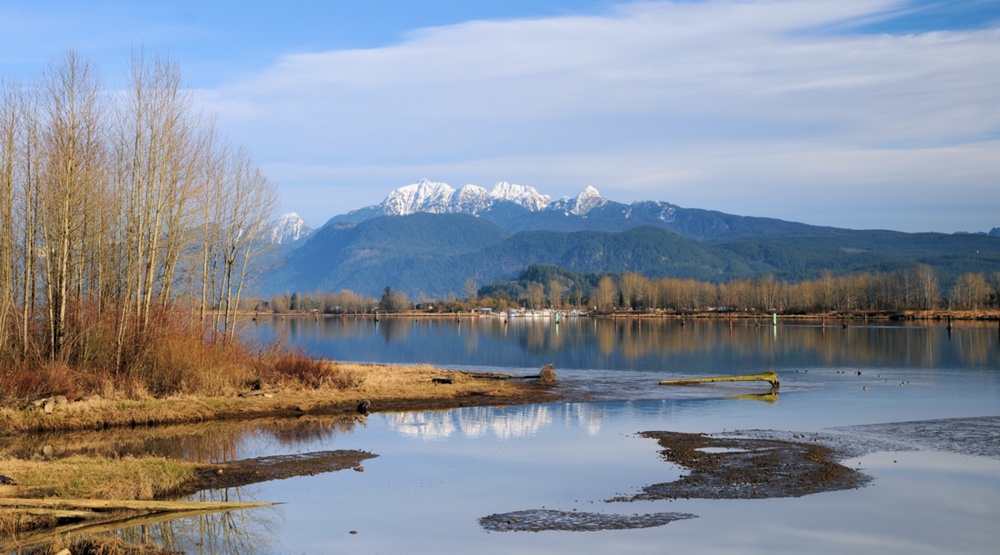 10 things to do in Tri-Cities in February