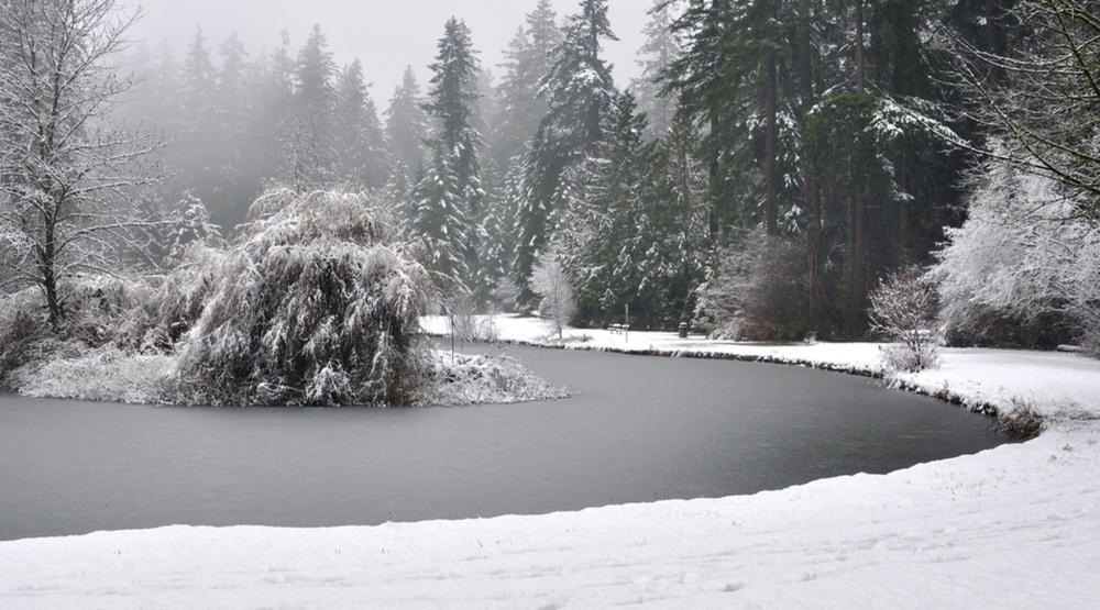 10 things to do in Burnaby in February