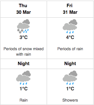 Toronto Weather