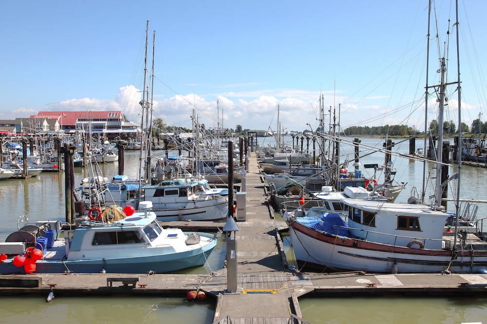 Boats moored at the Steveston port (Rigucci/Shutterstock)