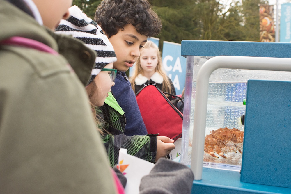 Students looking at a crab from the AquaVan (Vancouver Aquarium)