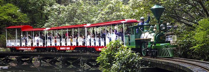 Stanley Park Train