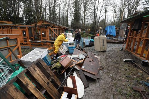 Poor winter conditions have caused damage to the Wildlife Rescue Association (Wildlife Rescue Association of BC)