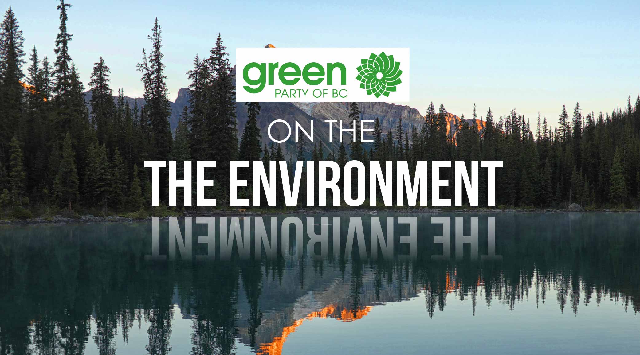 BC Election 2017: BC Greens and the environment in detail