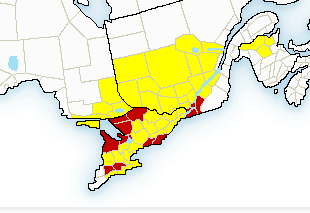 tornado watch