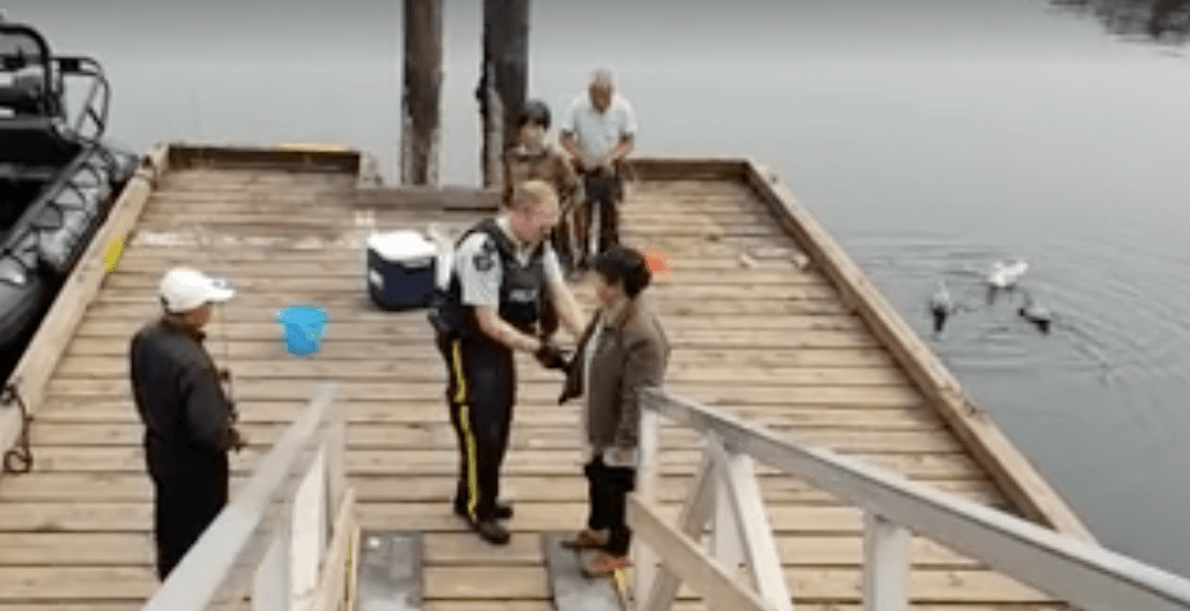 Pair accused of ripping claws off live crabs at White Rock pier (VIDEO)