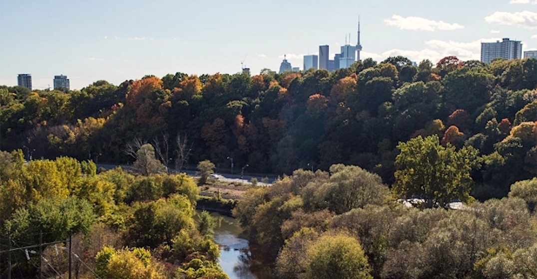 Toronto's Lower Don Trail to officially reopen this weekend