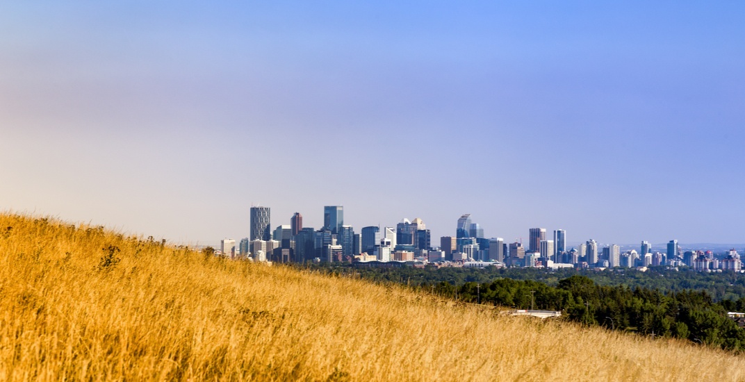 City of Calgary urging residents to avoid these parks this weekend