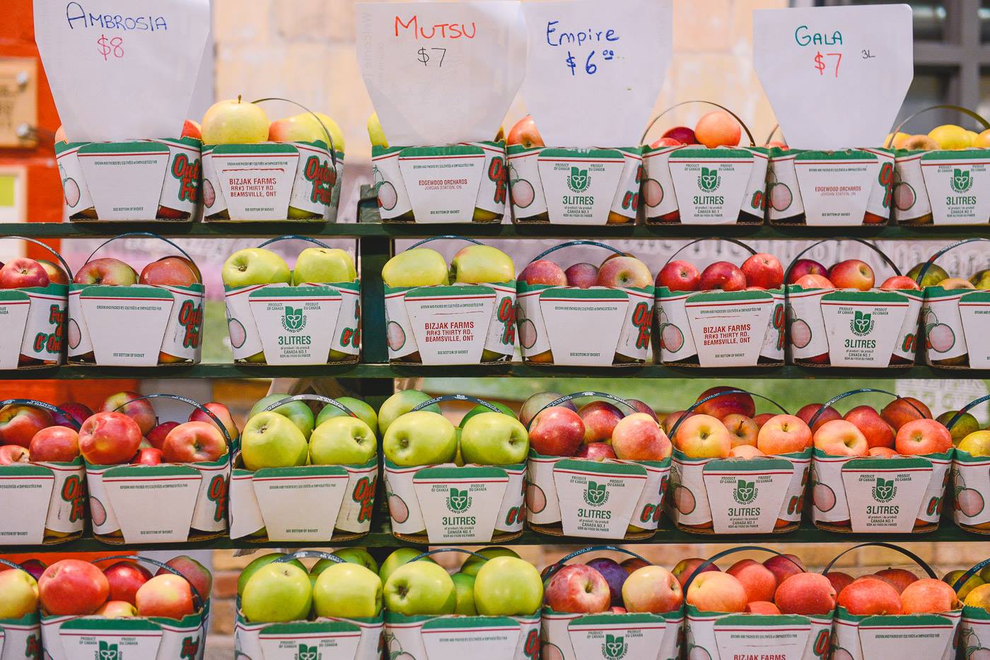 The Stop Community Food Centre farmers' market