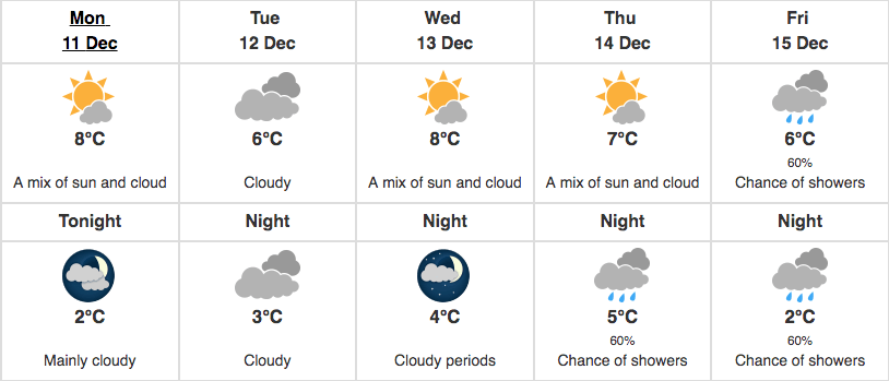 weather forecast