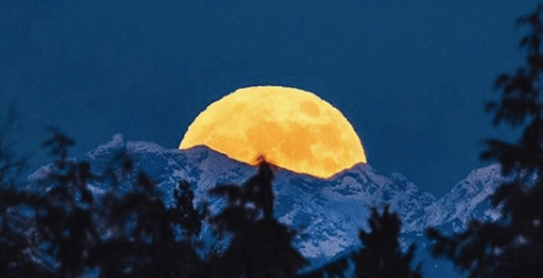 There was a massive Wolf Moon over Vancouver last night (PHOTOS)