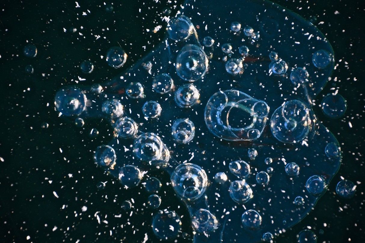 Methane bubbles trapped in ice on Windermere Lake. (Larry Halverson)