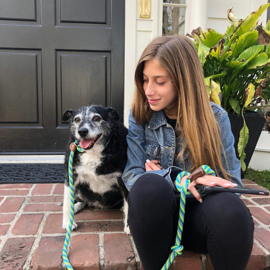 Dolly after being sprung from shelter in Southern California.
