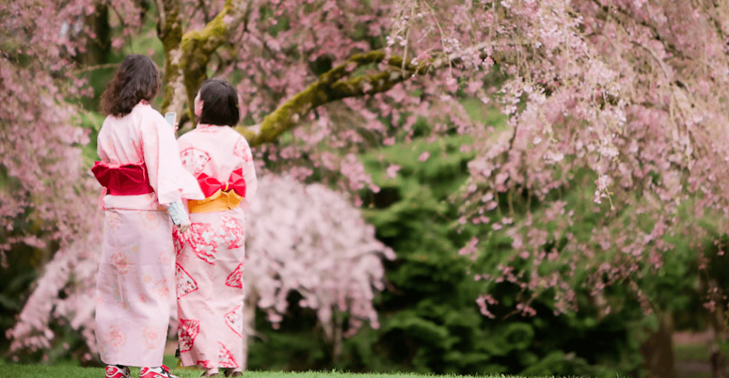 Japanese festival