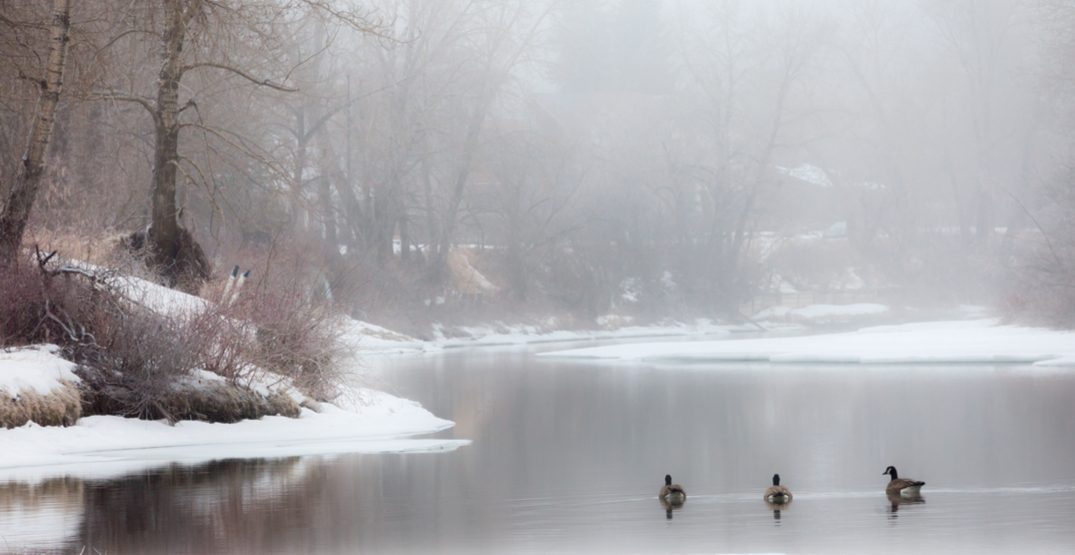 Environment Canada issues Fog Advisory for Calgary