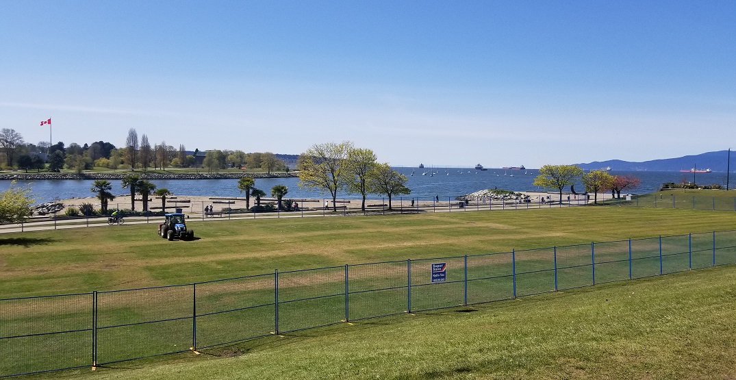 Mixed opinions about Park Board's response to 420 Vancouver's event