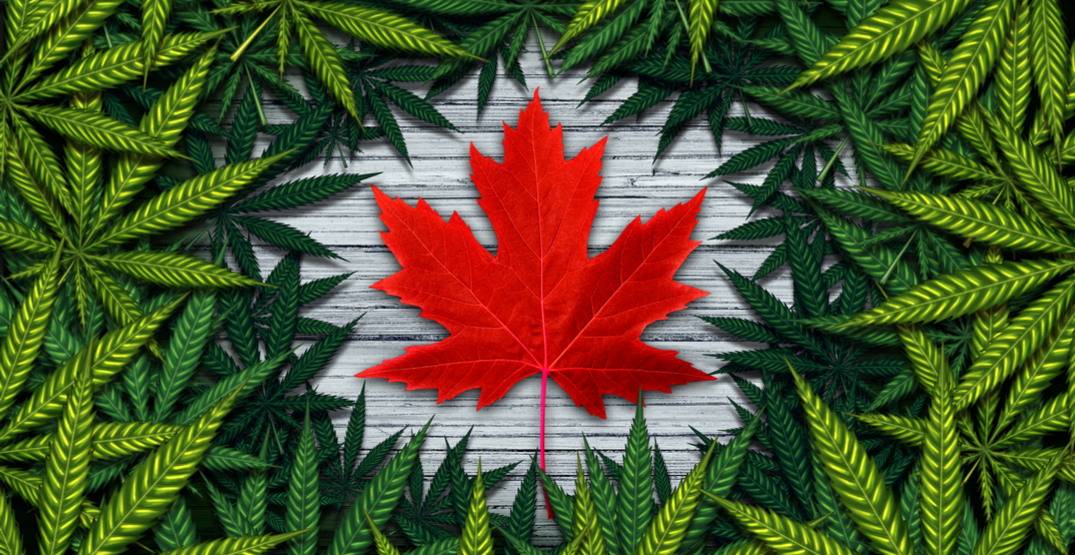 Cannabis curriculum teaches collaboration in the industry