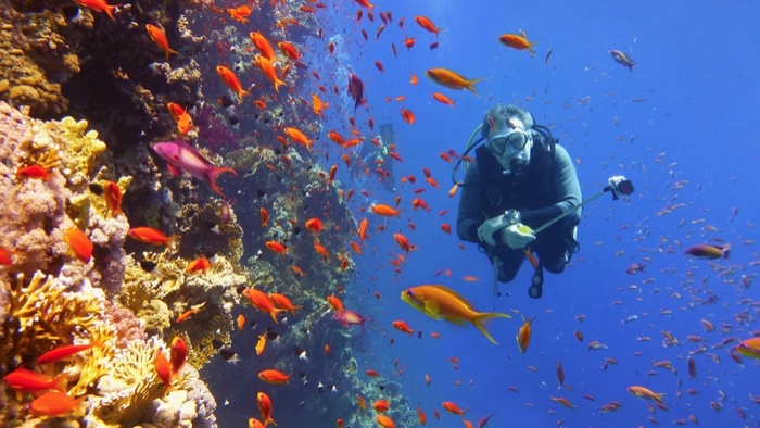 Scuba diving Great Barrier Reef