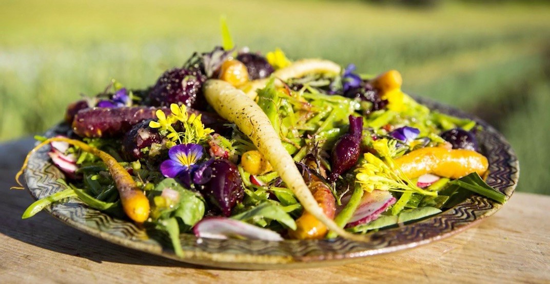 5 healthy recipes you need to try before summer's over (VIDEOS)