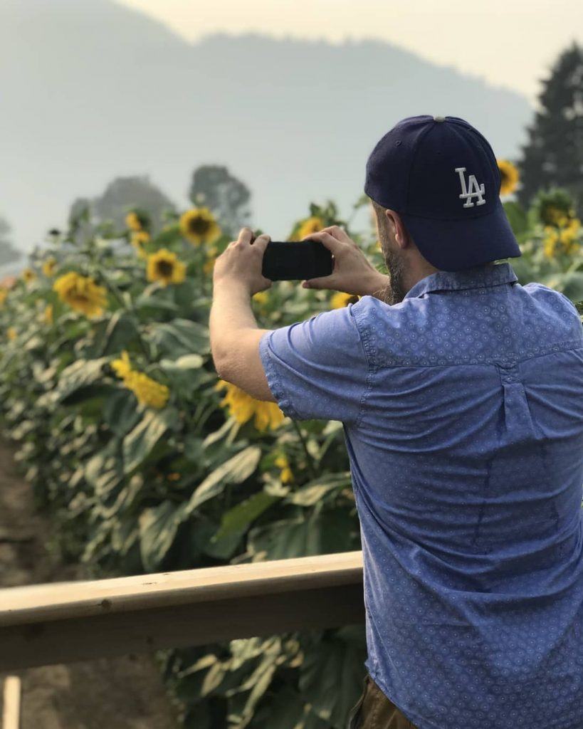 sunflower festival