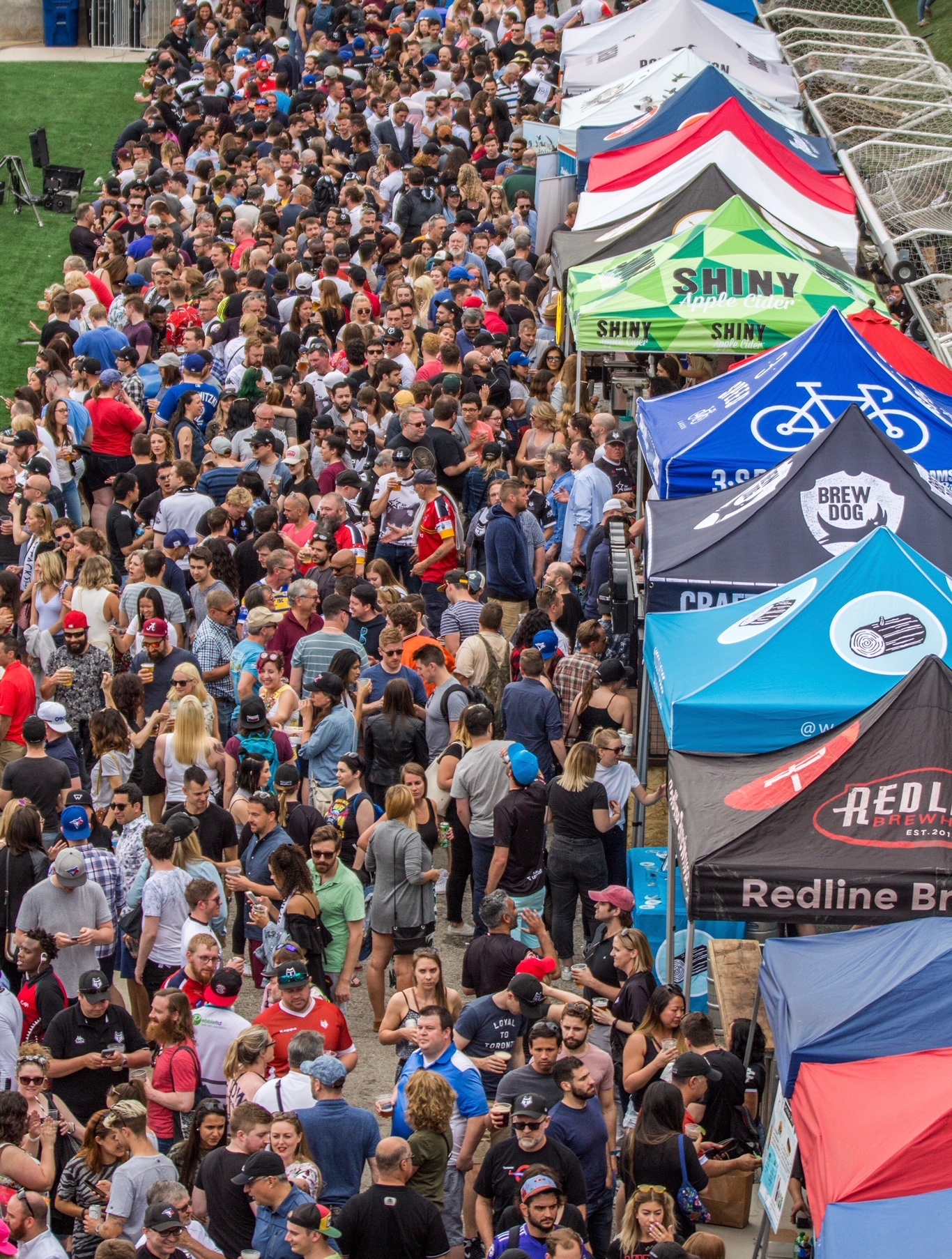 toronto wolfpack rugby beer festival